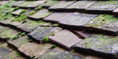 Higham Gobion roof repair costs
